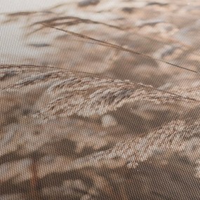 Obraz - Łąkowy wianek (125x70 cm)