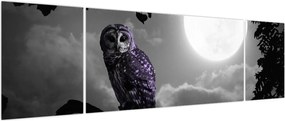 Obraz - Nocna sowa, fioletowa sowa (170x50 cm)