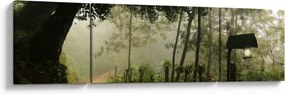 Obraz porannej mgły (170x50 cm)