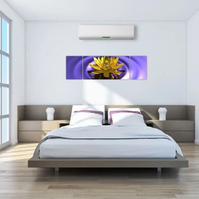 Obraz - Lilia wodna (170x50 cm)