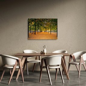 Obraz na szkle - aleja jesiennych drzew (70x50 cm)