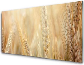 Szkło do Kuchni na Ścianę Łany Złotej Pszenicy