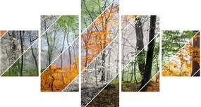 Obraz - Zmieniające się pory roku (125x70 cm)