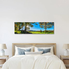 Obraz - widok pola (170x50 cm)