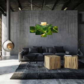 Obraz - Tarasy ryżowe Mu Cang Chai (125x70 cm)