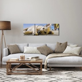 Obraz leżącego szczeniaka (z zegarem) (90x30 cm)