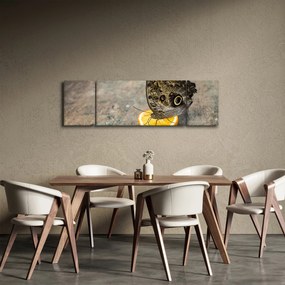 Obraz motyla (170x50 cm)