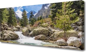 Obraz canvas Dziki Potok w Górskim Lesie