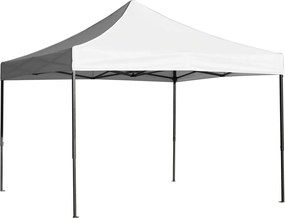 Namiot Basic 3x3