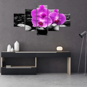 Obraz - Fioletowe orchidee (125x70 cm)