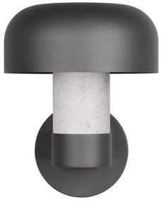 Zewnętrzna lampa ścienna (wysokość 24,5 cm) Fraser – Trio