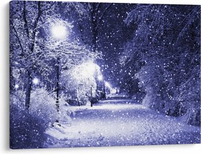 Obraz - Magiczna zimowa noc (70x50 cm)
