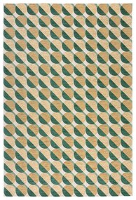 Żółto-zielony dywan 120x170 cm Carlos Circle Geo – Flair Rugs
