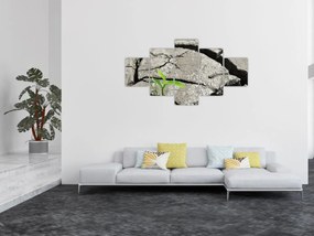 Obraz - Pęknięcia (125x70 cm)