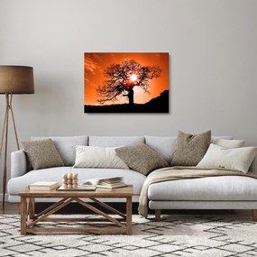 Obraz na szkle - Dąb o zachodzie słońca (70x50 cm)