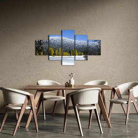 Obraz - ośnieżone góry zimą (125x70 cm)