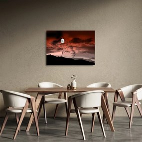 Obraz na szkle - Księżyc oświetlający noc (70x50 cm)