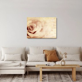 Obraz na szkle - Kwiat róży dla zakochanych (70x50 cm)