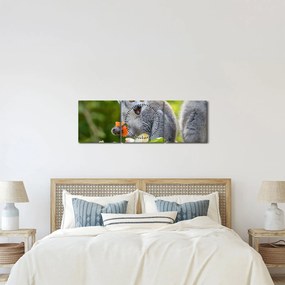 Obraz lemura (z zegarem) (90x30 cm)