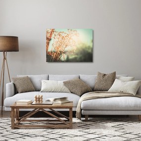 Obraz na szkle - Rośliny po deszczu (70x50 cm)