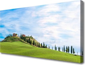 Zdjęcie na płótnie Samotne Drzewo na Polanie