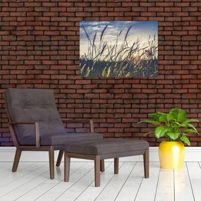 Obraz na szkle kwiatów łąkowych (70x50 cm)