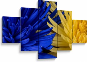 Obraz - szczegóły kwiatów (125x70 cm)