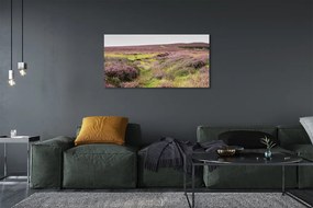 Obraz drukowany na płótnie Pole Wrzosów