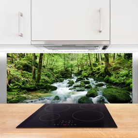 Panel Szklany Szumiący Potok w Gęstwinie Lasu