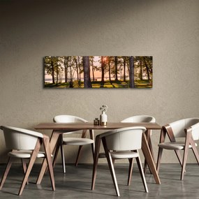 Obraz drzew nad jeziorem (170x50 cm)