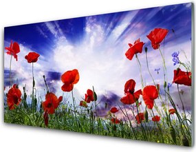 Szkło Ozdobne do Kuchni Czerwone Maki w Polu