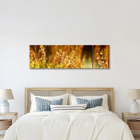 Obraz - Szczegół rosy (170x50 cm)