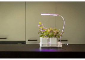 Metalowa stacja do uprawy roślin Lamp – Esschert Design