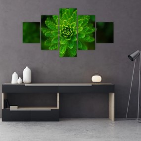 Obraz drzewa iglastego (125x70 cm)