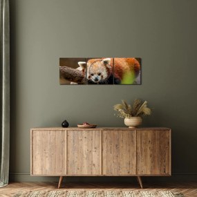 Obraz czerwonej pandy (z zegarem) (90x30 cm)