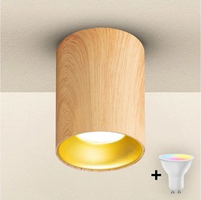 Brilagi - ściemnialna oprawa punktowa LED RGBW TRINE 1xGU10/6W/230V dekor dąb