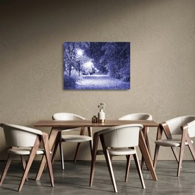 Obraz na szkle - Magiczna zimowa noc (70x50 cm)