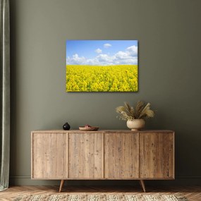Obraz żółtego pola (70x50 cm)