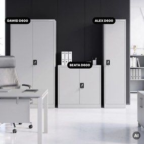 Szafa na akta kartotekowa na klucz szara, 450x1850x600 mm: ALEX D600
