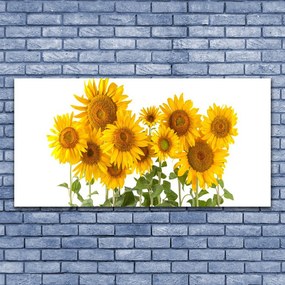 Obraz na płótnie Złociste Słoneczniki w Polu