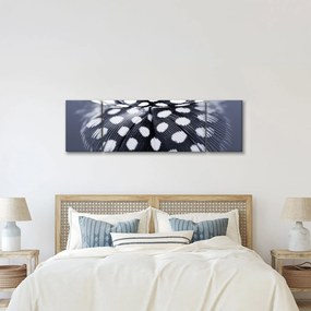 Obraz - Piórko (170x50 cm)