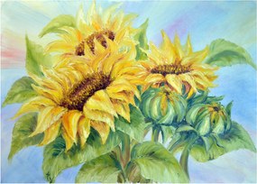 Obraz na szkle kwitnących słoneczników (70x50 cm)