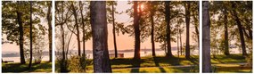 Obraz drzew nad jeziorem (170x50 cm)