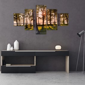 Obraz drzew nad jeziorem (125x70 cm)