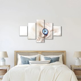 Obraz - Kotek (125x70 cm)