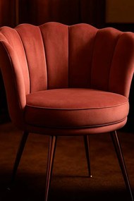 Krzeso Dunsa Golden Velvet