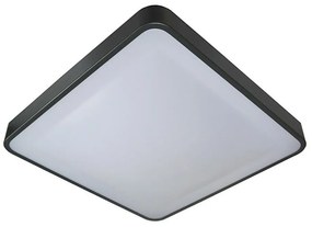 LED Plafon WILTON LED/24W/230V antracyt