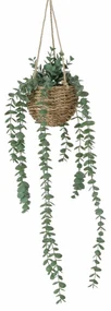 Sztuczna roślina wisząca EUCALYPTUS, 78 cm