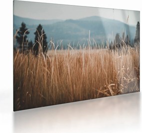 Obraz na szkle - szczegół łąki (70x50 cm)