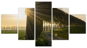 Obraz alei (125x70 cm)